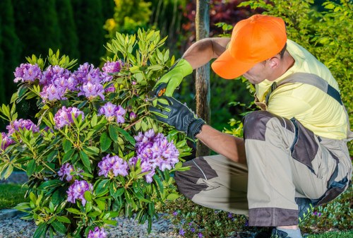 Secure Tree Surgeons Cricklewood payment area with encrypted checkout