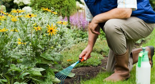 Local stump grinding service preparing a garden area for landscaping