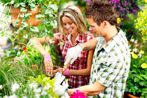 Local tree inspection advice for a garden tree close to houses in Cricklewood