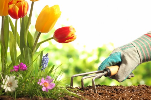 Accessibility review and usability improvements for tree surgery website