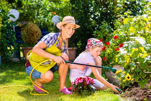Tree surgeons planning a controlled and safe tree maintenance job