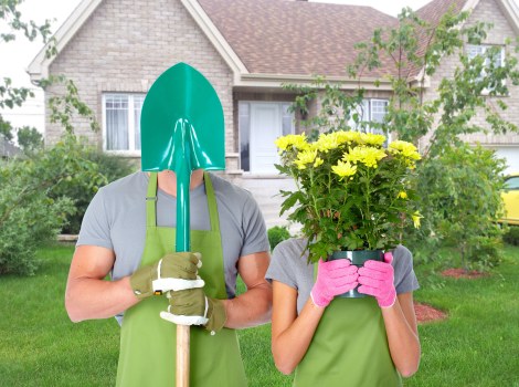 Professional tree surgeons handling safe arboricultural work near property